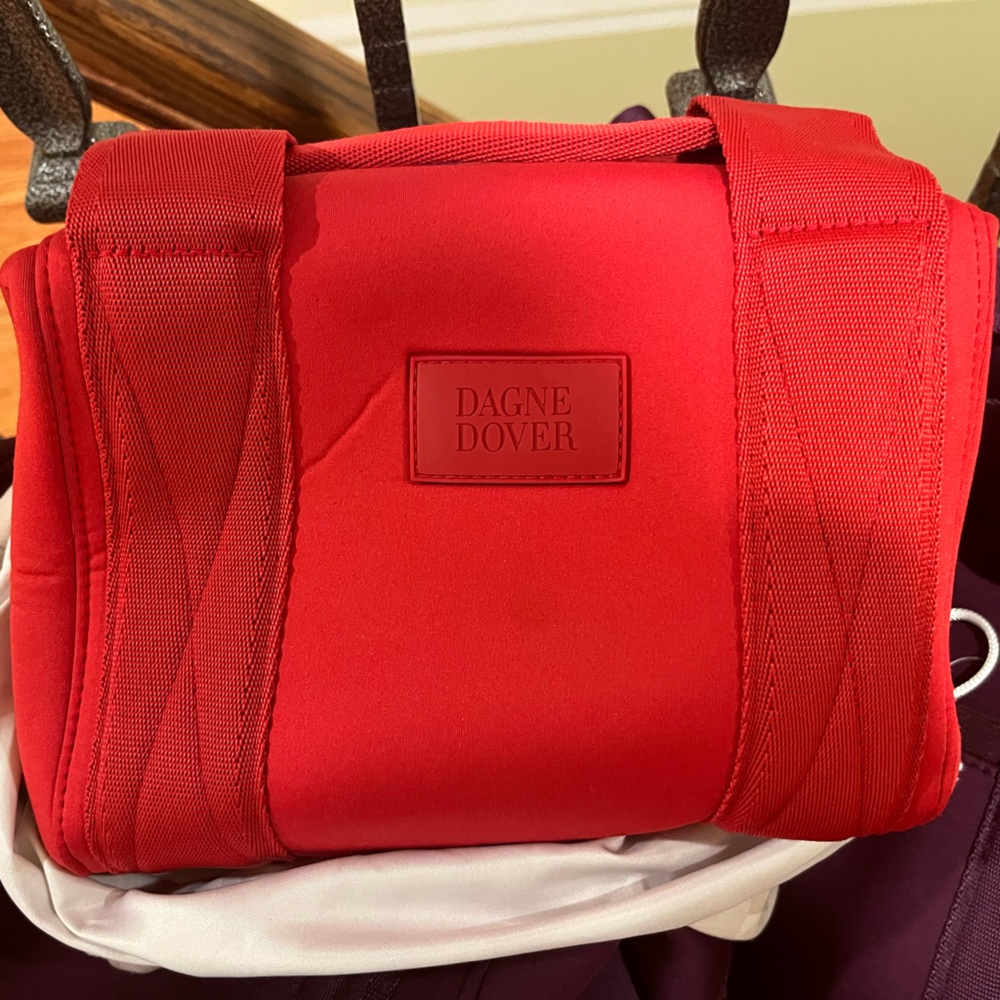 Dagne Dover XS Landon Bag in Siren